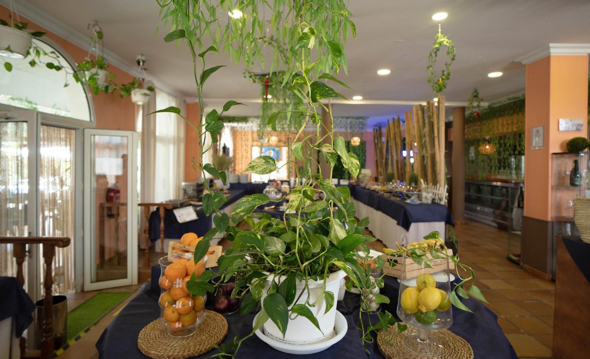 Hotel Albaida Nature Mazagon